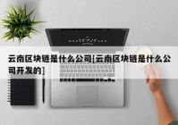 云南区块链是什么公司[云南区块链是什么公司开发的]